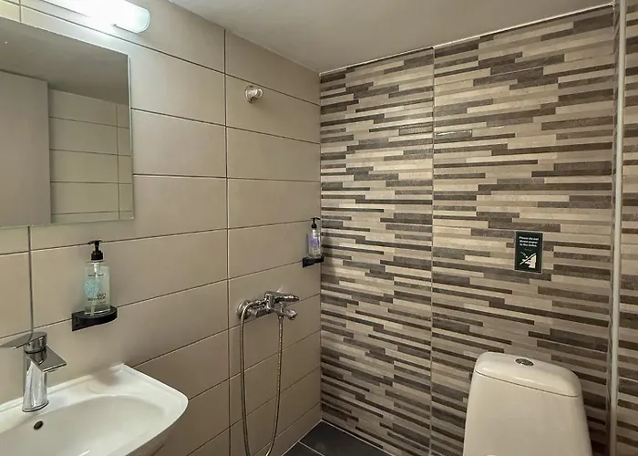 Seagull - Building A Paralía